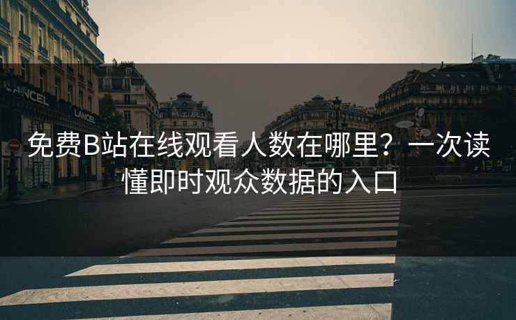 免费B站在线观看人数在哪里？一次读懂即时观众数据的入口