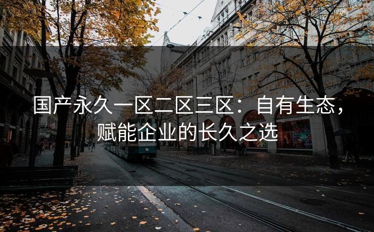 国产永久一区二区三区：自有生态，赋能企业的长久之选