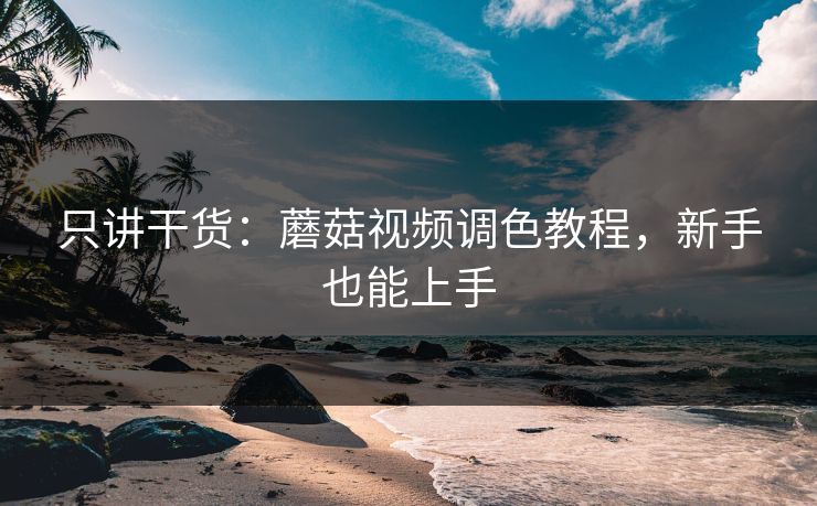只讲干货：蘑菇视频调色教程，新手也能上手