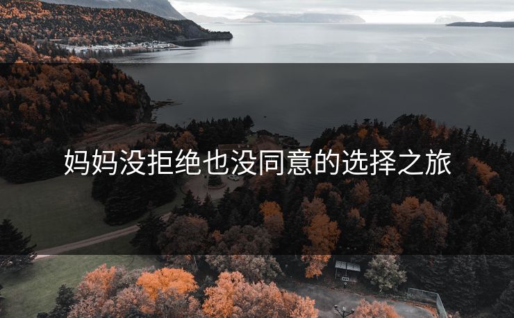 妈妈没拒绝也没同意的选择之旅